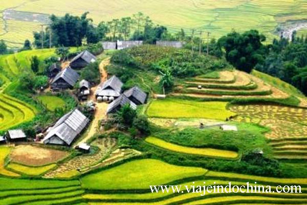 El-campo-de-arroz-en-Sapa