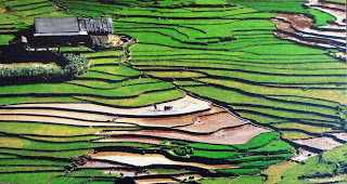 http://iravietnam.blogspot.com/p/relato-del-viaje.html