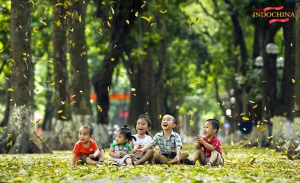 http://viajeindochina.com/tipo-de-tour/tours-en-vietnam/